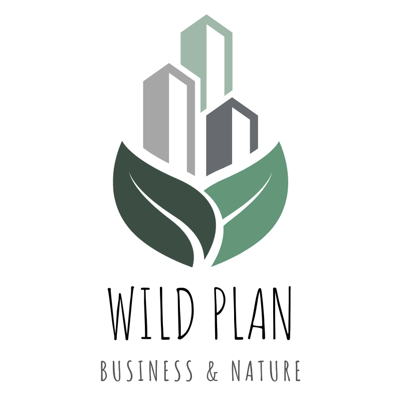 Wild Plan Ltd logo